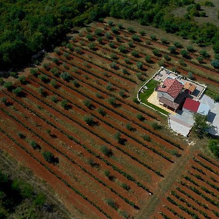 Villa Relax House Surrounded By Olives And Vineyard à Stifanići Extérieur photo