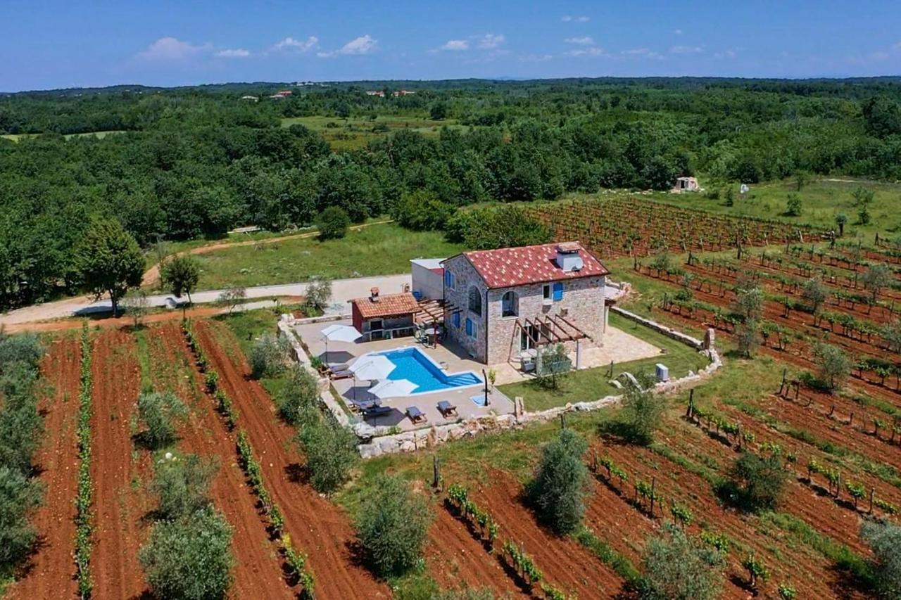 Villa Relax House Surrounded By Olives And Vineyard à Stifanići Extérieur photo