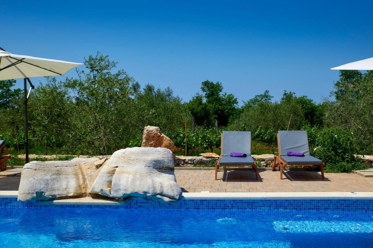 Villa Relax House Surrounded By Olives And Vineyard à Stifanići Extérieur photo