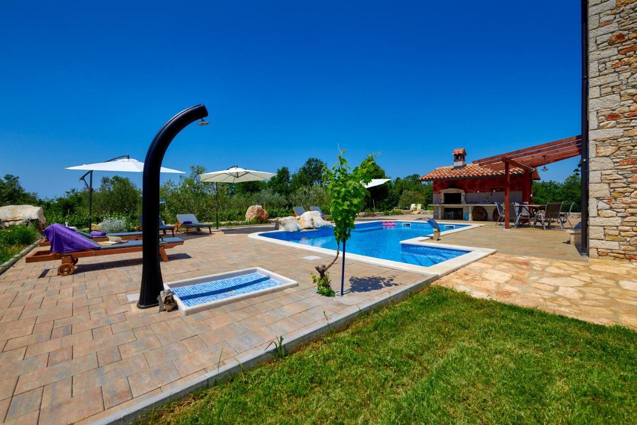 Villa Relax House Surrounded By Olives And Vineyard à Stifanići Extérieur photo