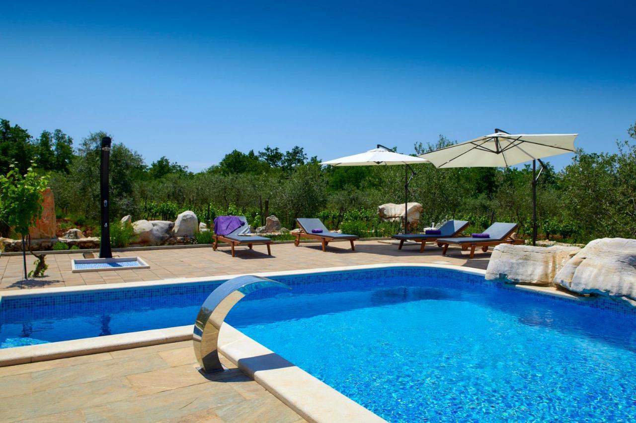Villa Relax House Surrounded By Olives And Vineyard à Stifanići Extérieur photo