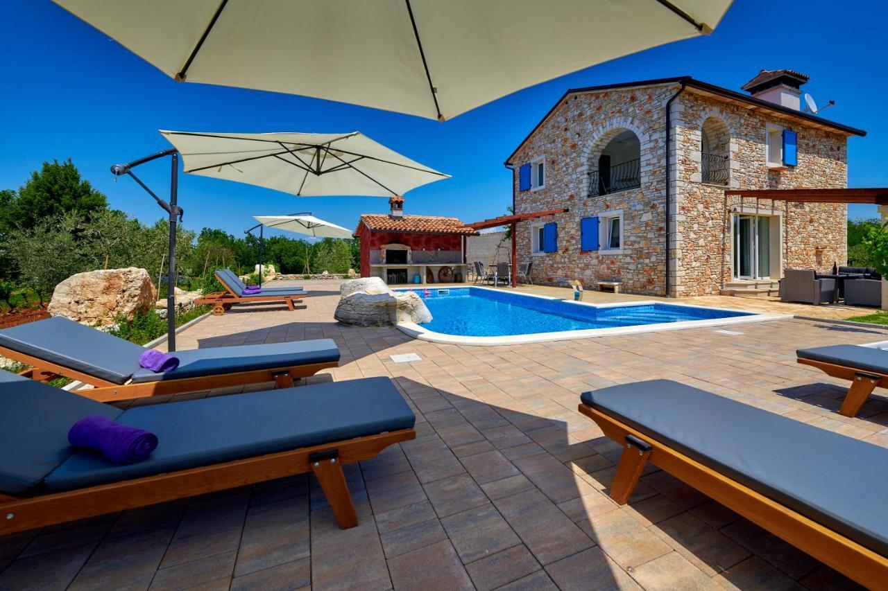 Villa Relax House Surrounded By Olives And Vineyard à Stifanići Extérieur photo