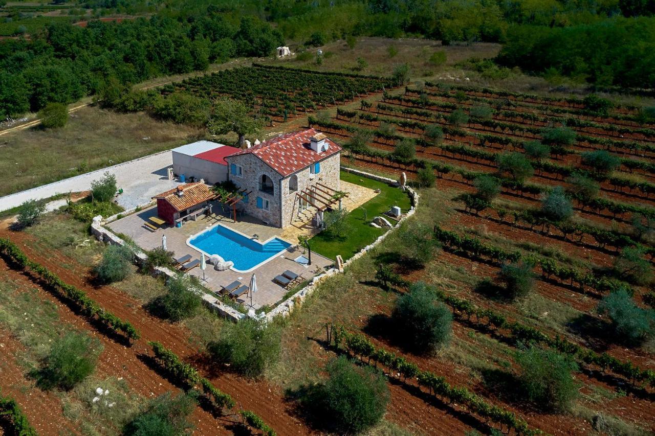 Villa Relax House Surrounded By Olives And Vineyard à Stifanići Extérieur photo