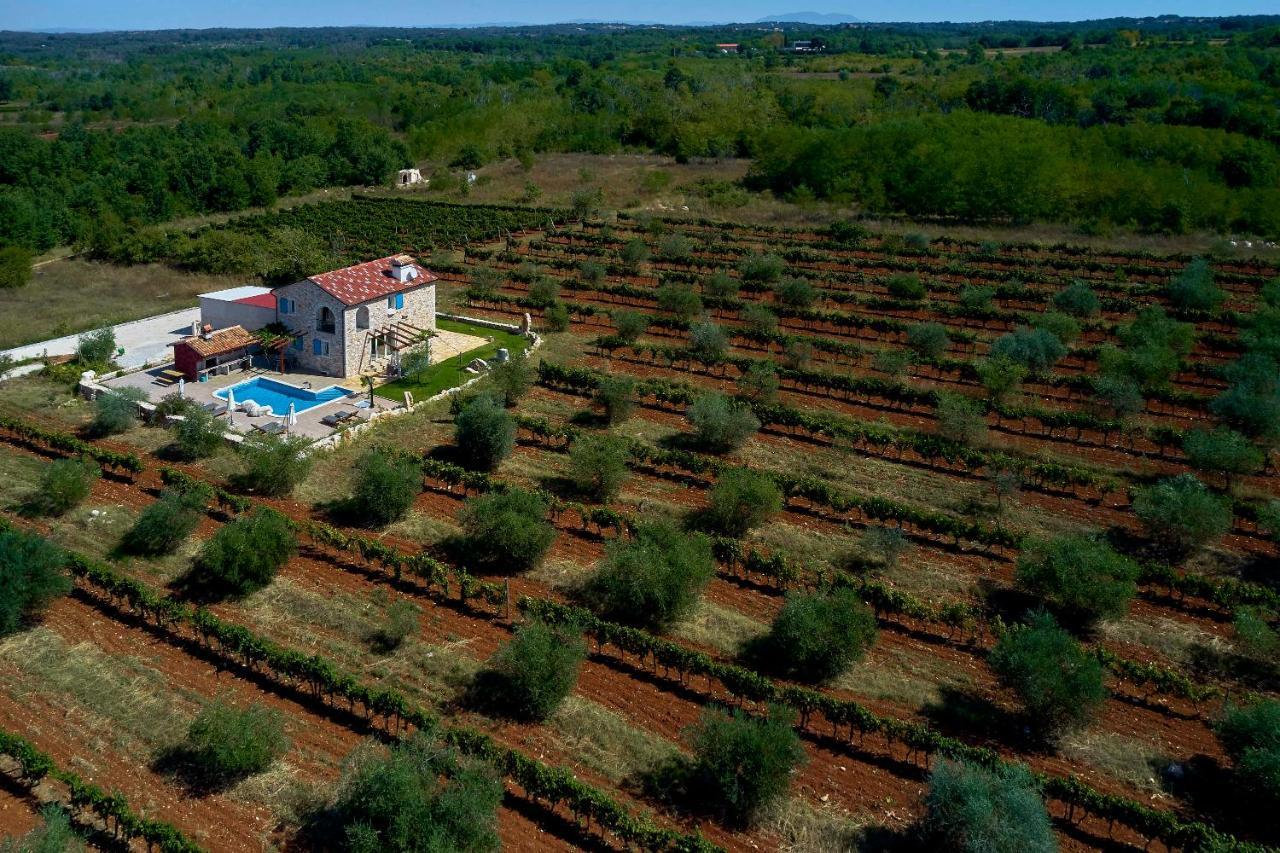 Villa Relax House Surrounded By Olives And Vineyard à Stifanići Extérieur photo