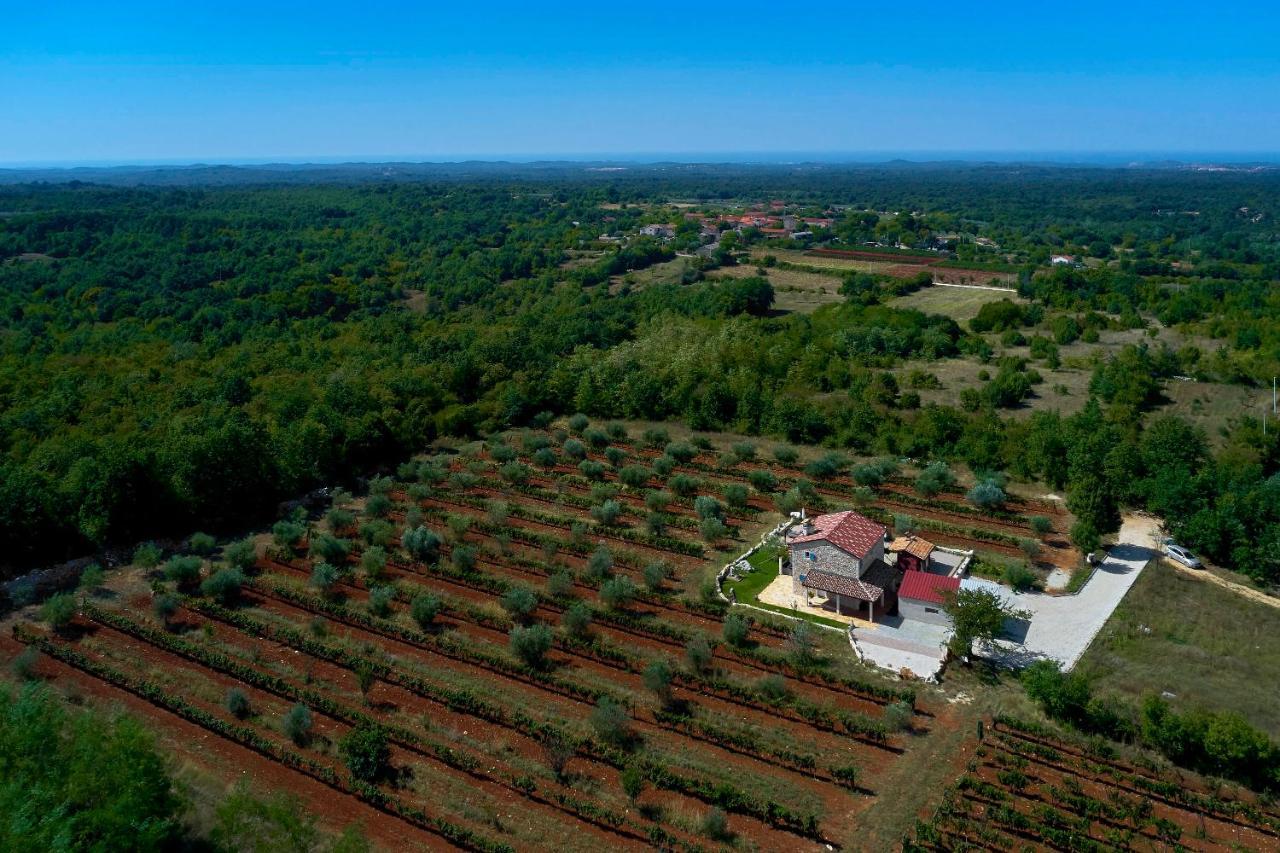 Villa Relax House Surrounded By Olives And Vineyard à Stifanići Extérieur photo