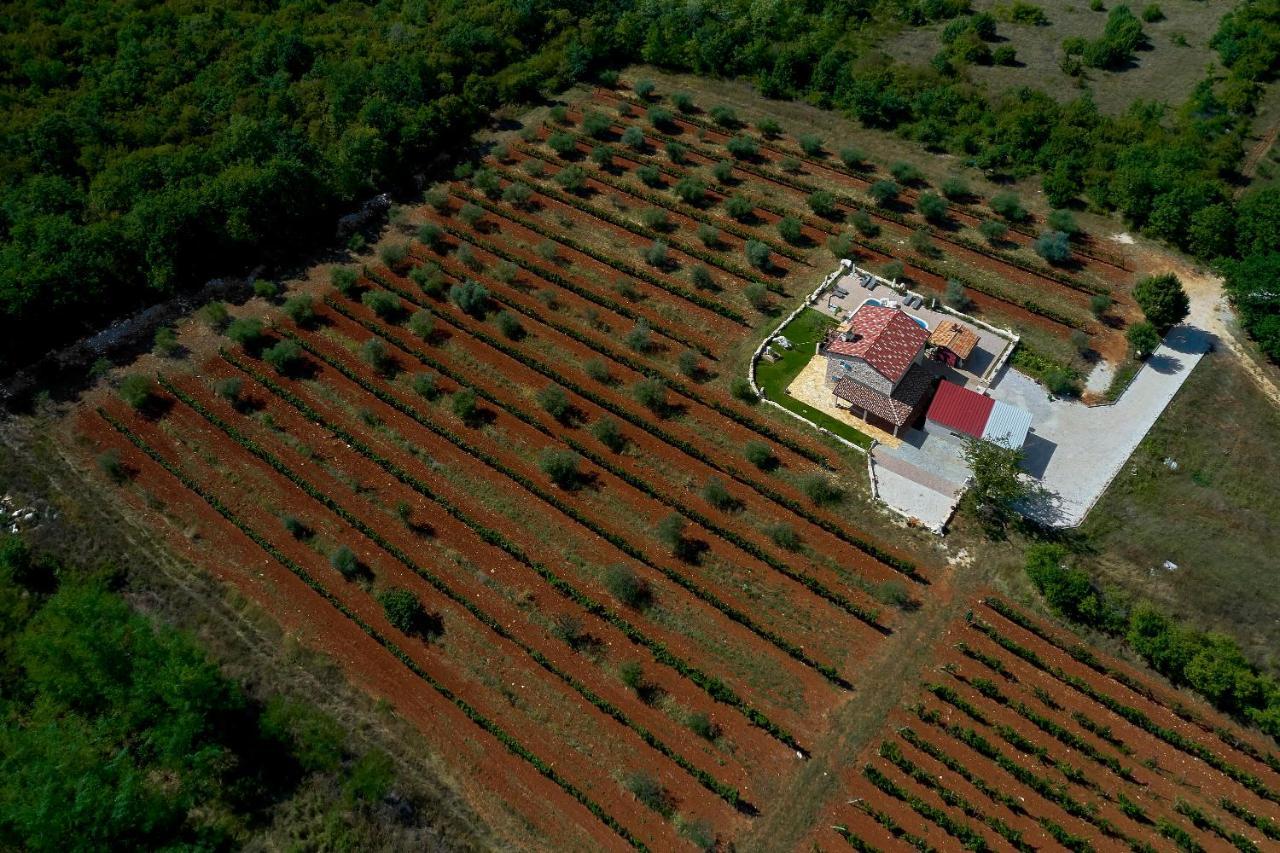 Villa Relax House Surrounded By Olives And Vineyard à Stifanići Extérieur photo