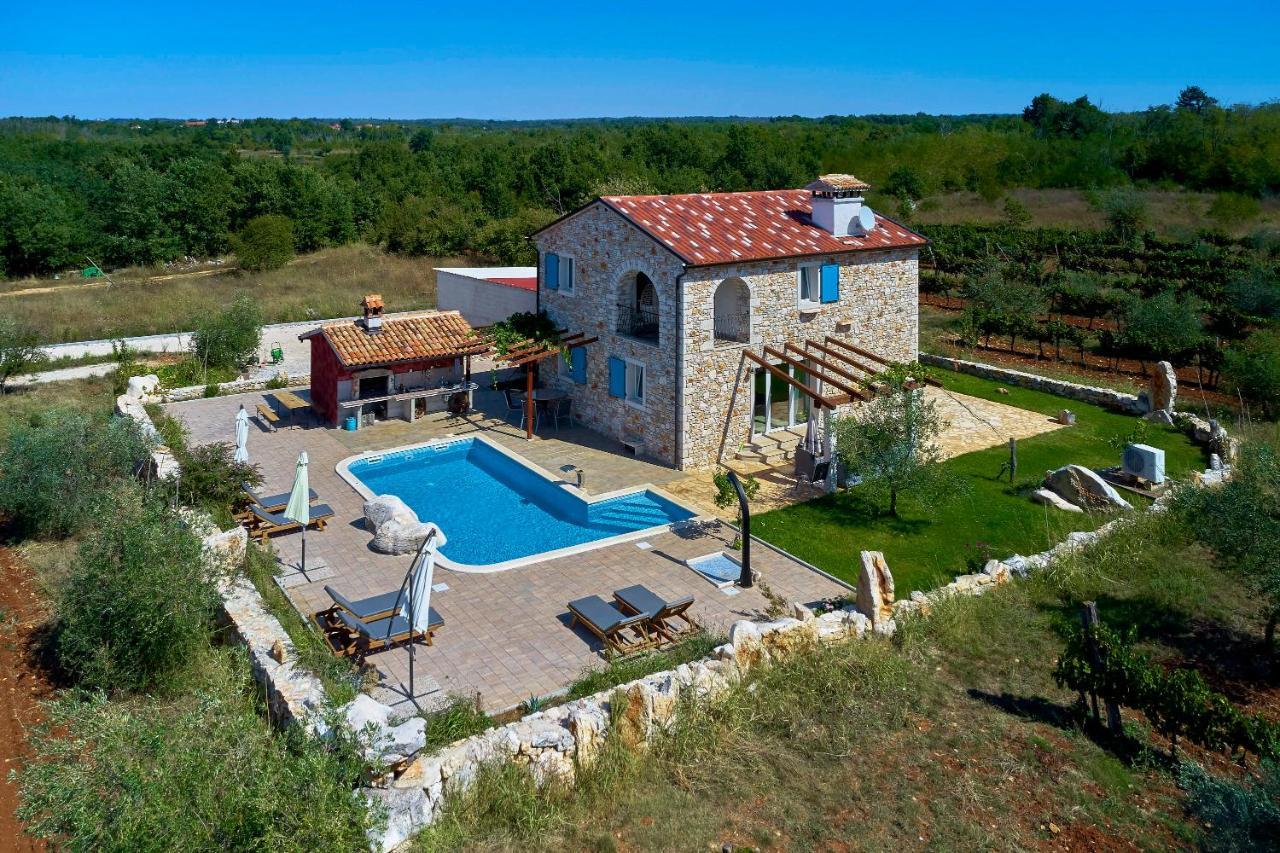 Villa Relax House Surrounded By Olives And Vineyard à Stifanići Extérieur photo