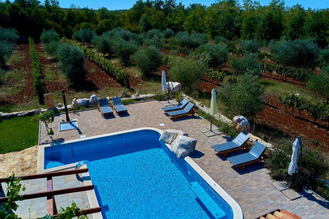 Villa Relax House Surrounded By Olives And Vineyard à Stifanići Extérieur photo